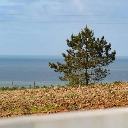 Presente Haven - Walk To Reserve & Town Semesterbostad